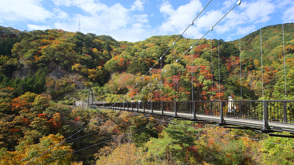 【鬼怒川の大自然】鬼怒楯岩大吊橋