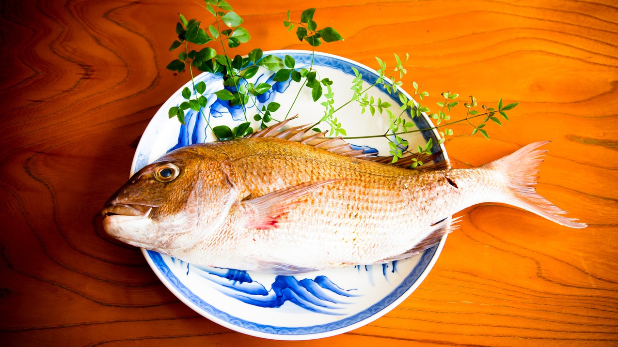 *とれたてピチピチのお魚をご賞味ください！