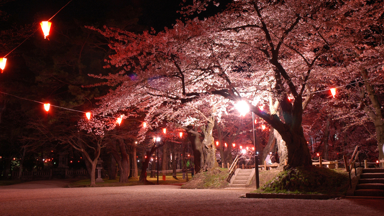 *【周辺】千秋公園／例年4月中〜下旬には桜まつりが開催され、夜間はライトアップも。