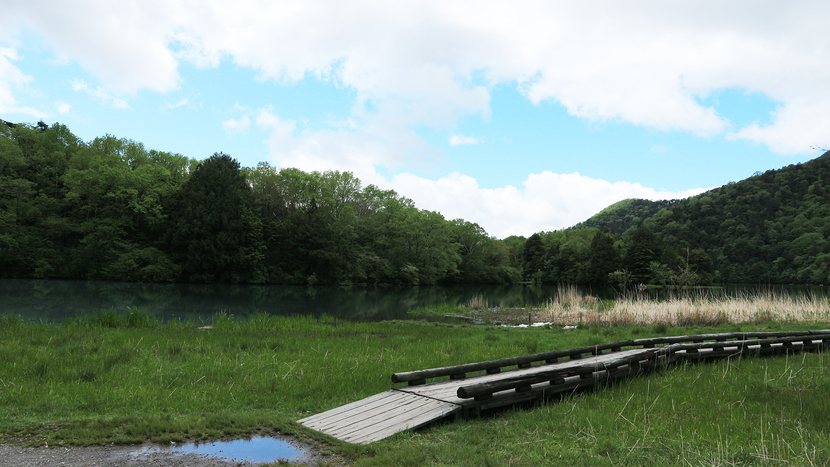 *【湯ノ湖】湖岸には散策路があり湖を一周できます。