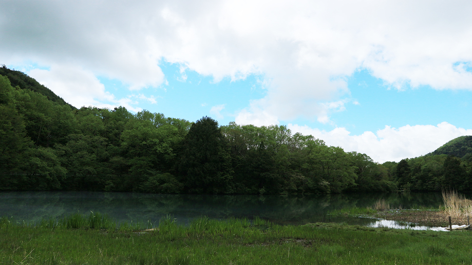 *【湯ノ湖】周辺は手つかずの自然の風景が広がります。