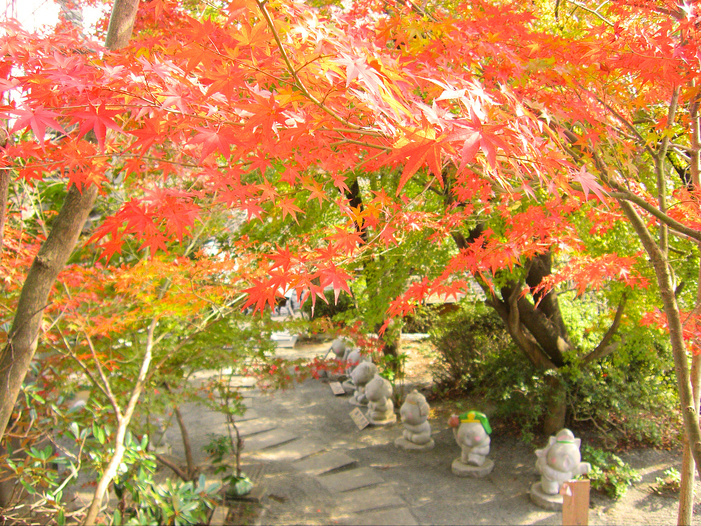 【如意輪寺】(小郡市)車で約15分〜紅葉の様子〜