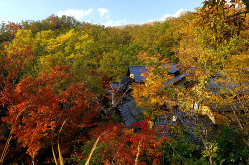 秋紅葉山みず木外観