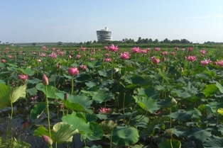 水の駅ビュー福島潟（徒歩3分）