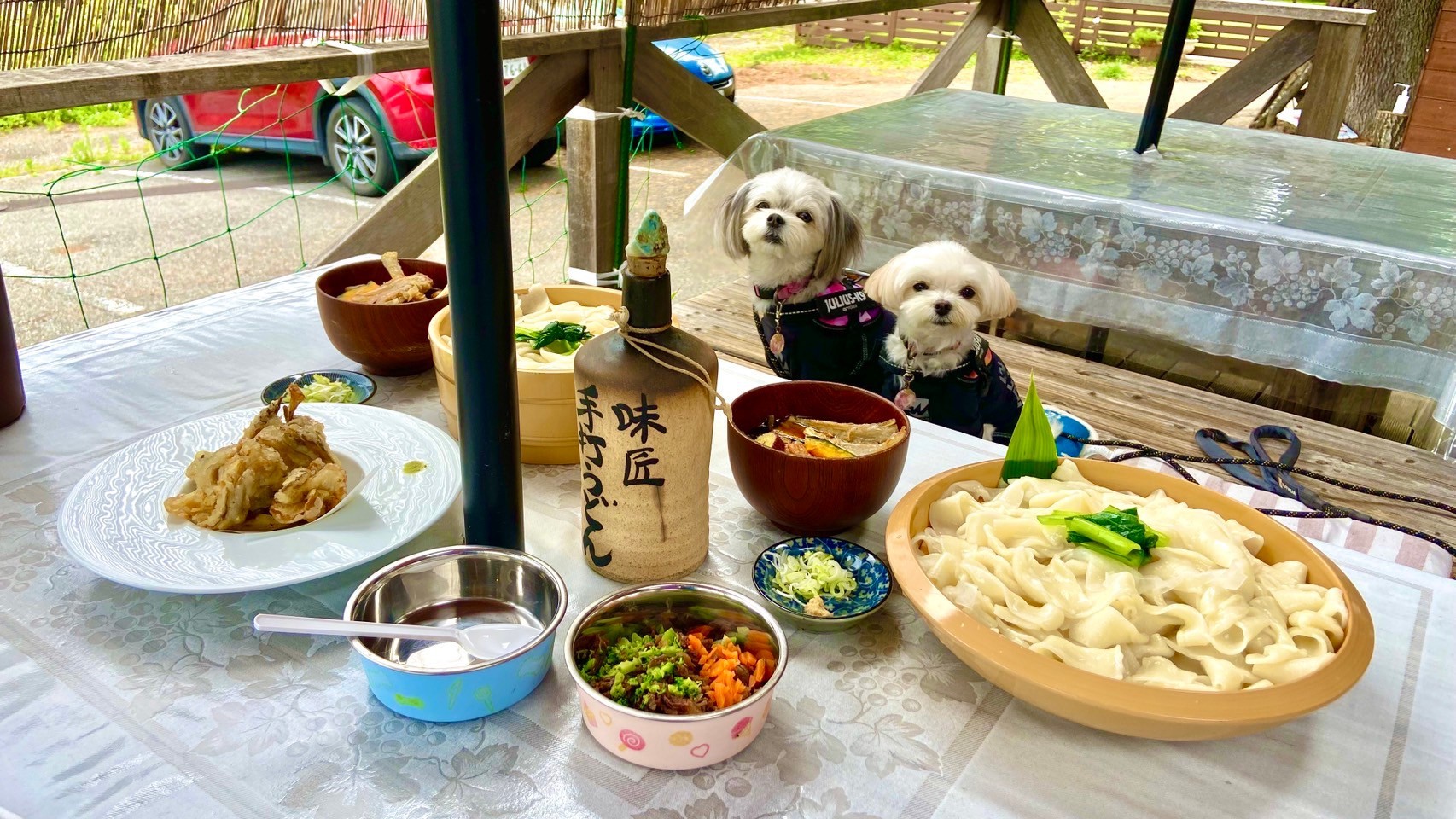 ペットと一緒にテラスで食事
