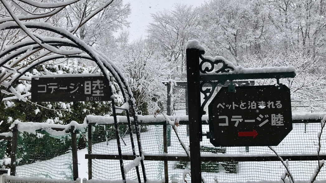 雪遊びできますよ〜