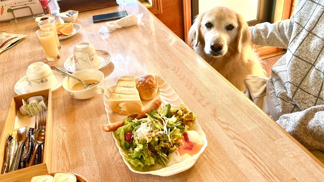 ペットと一緒に店内で朝食