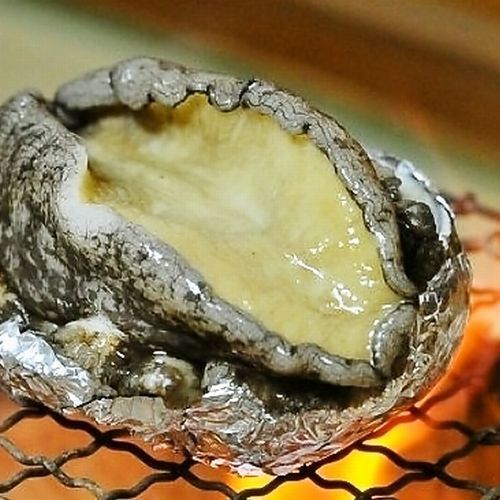 料理長厳選の高級食材の活鮑の食感を心ゆくまでどうぞご堪能下さい