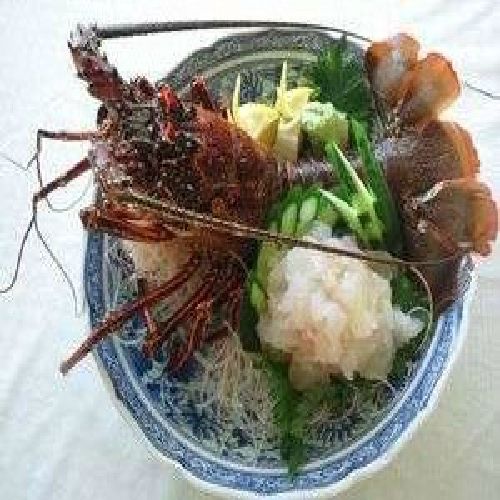 料理長・店主が厳選の高級食材の活伊勢海老のお造りををご堪能下さい