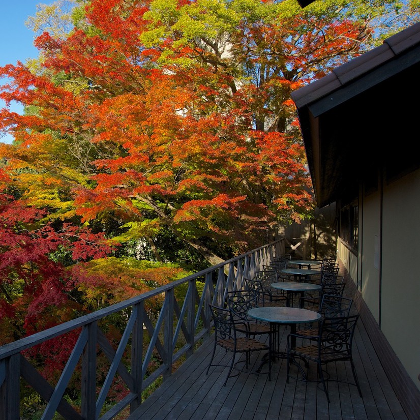 【バルコニー】自然豊かな環境で四季の移ろいを感じられます。紅葉も見応えがあります。