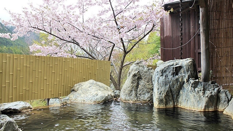 春の露天風呂