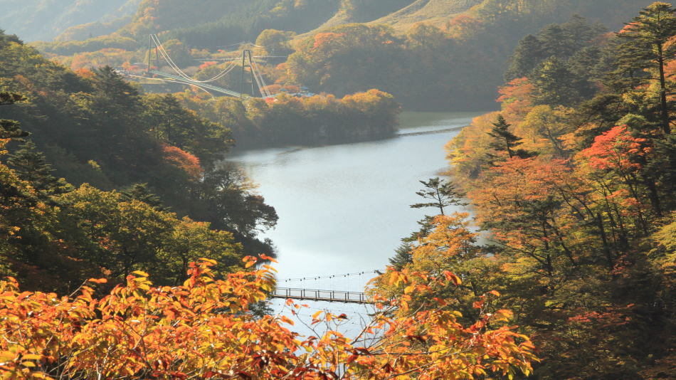 紅葉（回顧の吊り橋・もみじ谷大吊り橋）