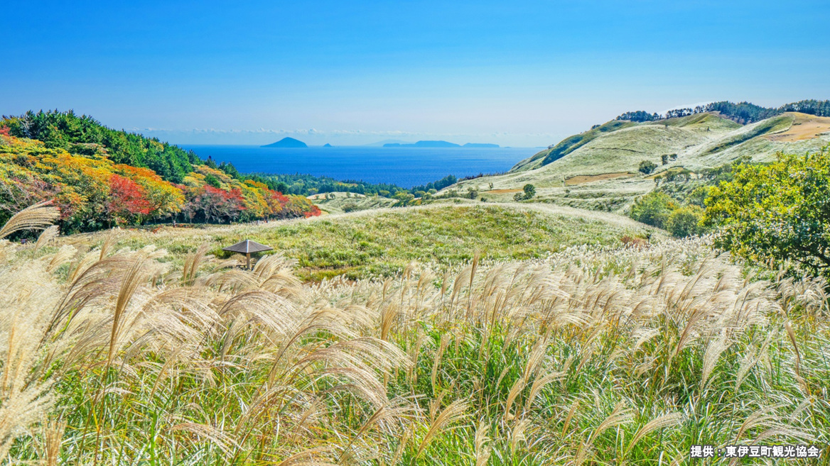 伊豆の秋景色特集　一泊二食飲み放題付きプラン
