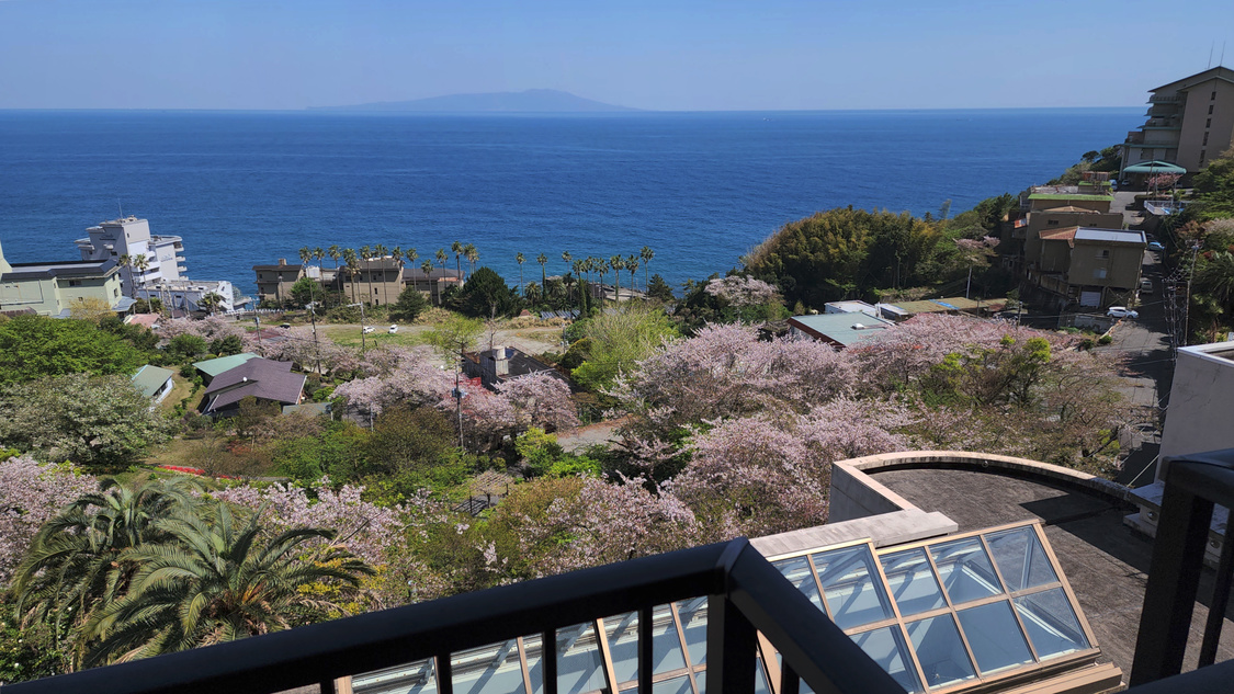 海側客室眺望一例