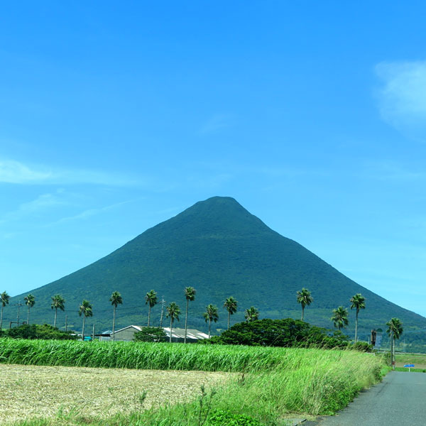 日本百明山の一つで、別名薩摩富士ともよばれる開聞岳