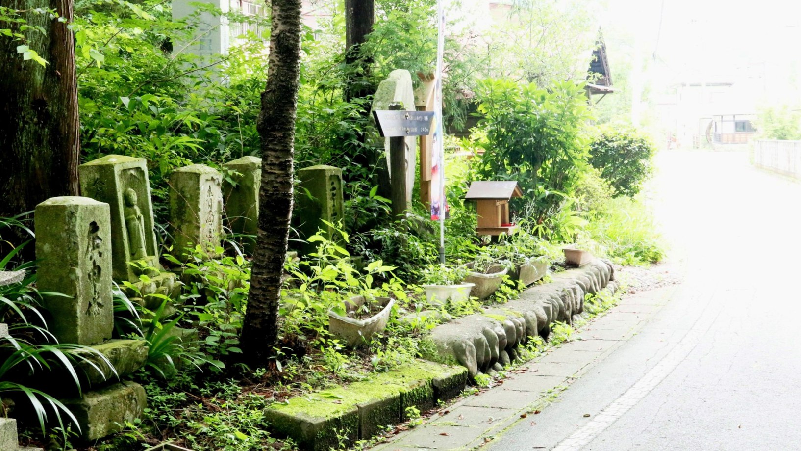 周辺・景色_道路