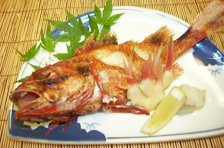 キンキ塩焼き