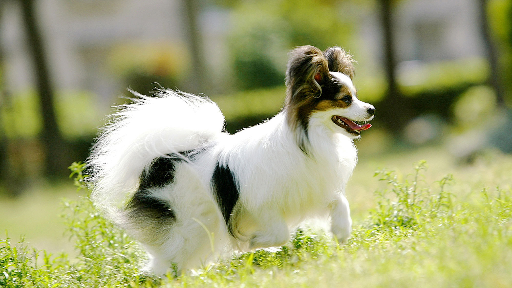 Tairappyouchaya Main Image Tairappyouchaya, Yuzawa