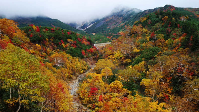 十勝岳 紅葉