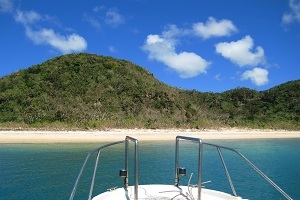 なりゆきまかせ。