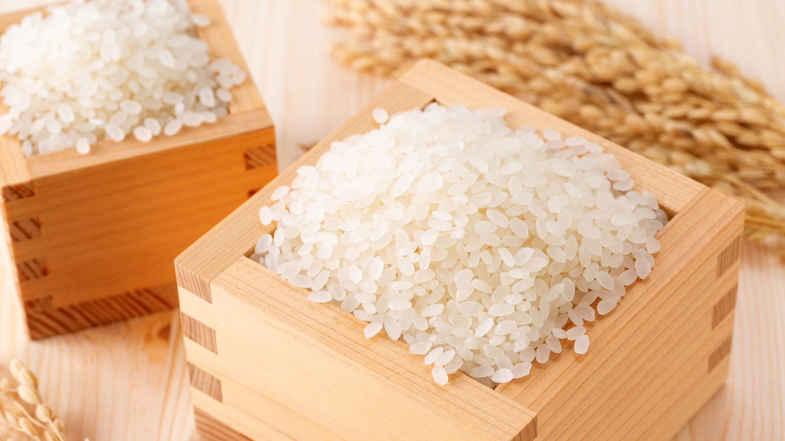 *【ご飯】毎年新米の姫路米を入荷しています！地元・姫路の農家から、玄米を直接仕入れ精米したお米です！