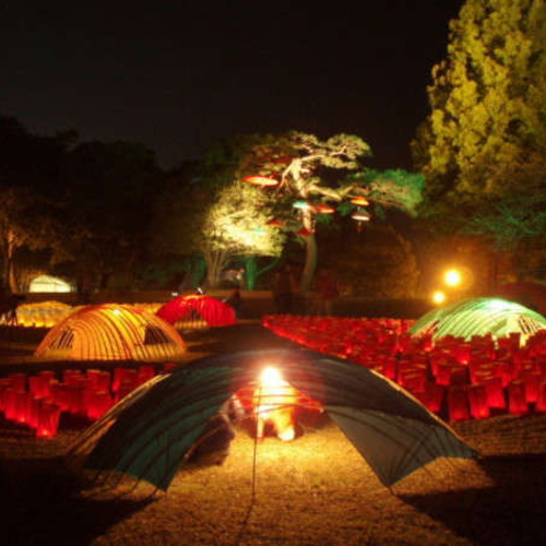 【イベント】11月/別府公園「千灯明」