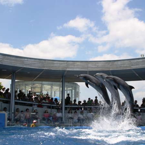 【周辺施設/レジャー】水族館うみたまご