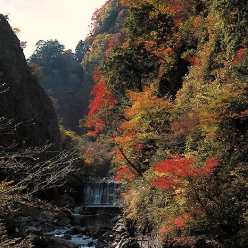 大分のオススメ紅葉スポット『九酔渓』