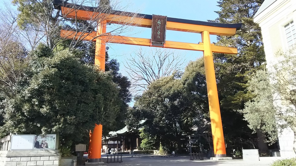 【川越氷川神社】あらゆる縁を結んでくれるパワースポットとして有名な神社です！