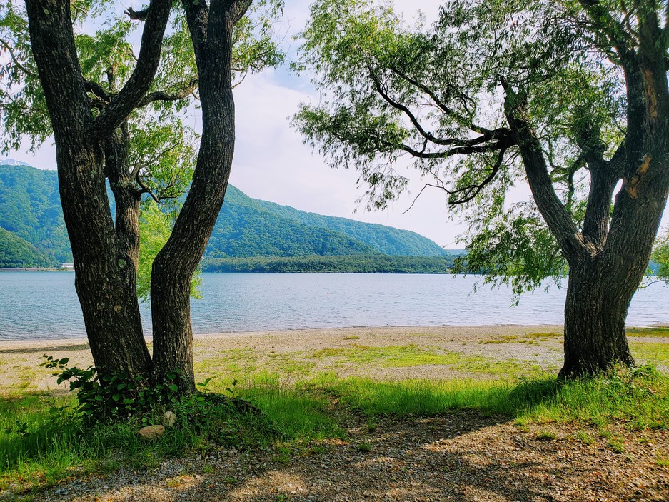 湖畔風景