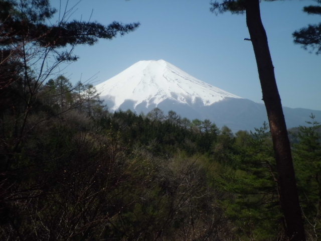 不動湯付近からの富士山
