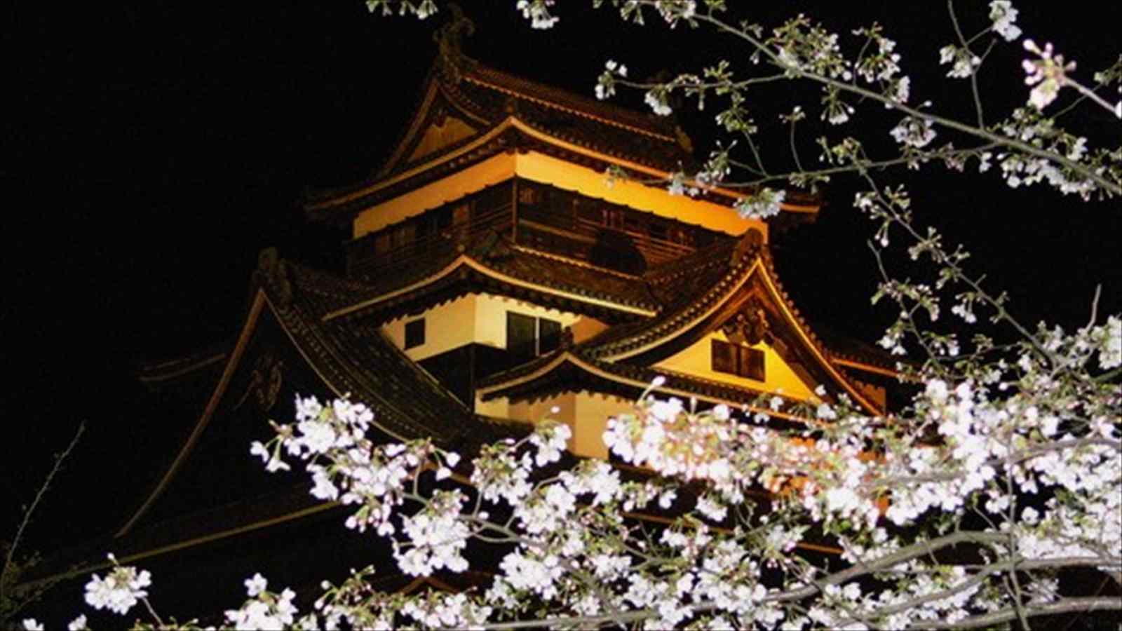 松江城夜景