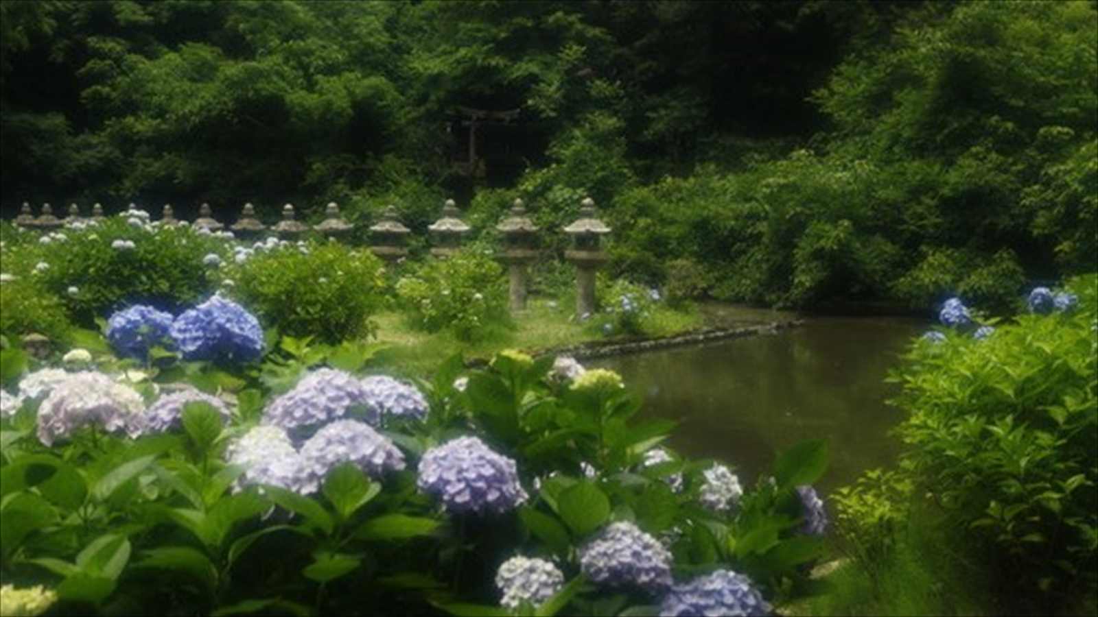 月照寺