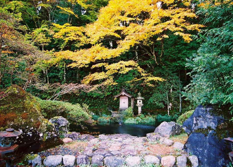 初秋のかくばん池