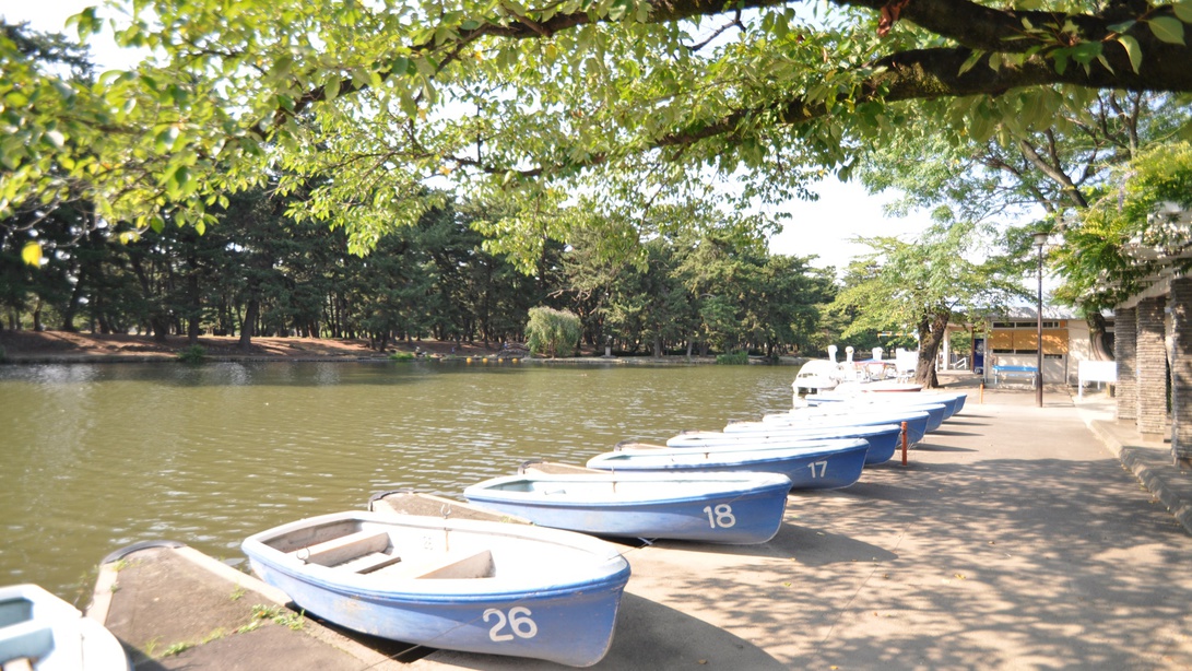 *敷島公園／緑豊かな公園ではスワンボートも楽しめる♪カップル・ファミリーにお勧め