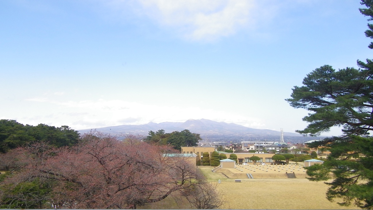 *部屋からの景色（赤城山側）