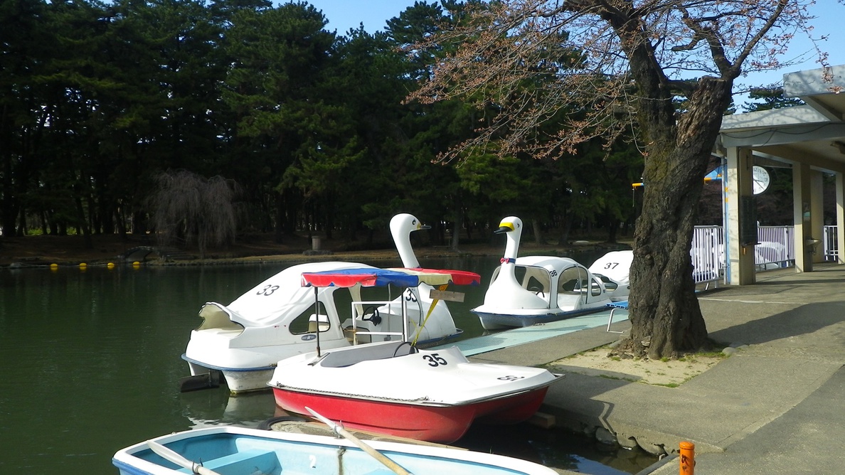 *敷島公園／緑豊かな公園ではスワンボートも楽しめる♪カップル・ファミリーにお勧め