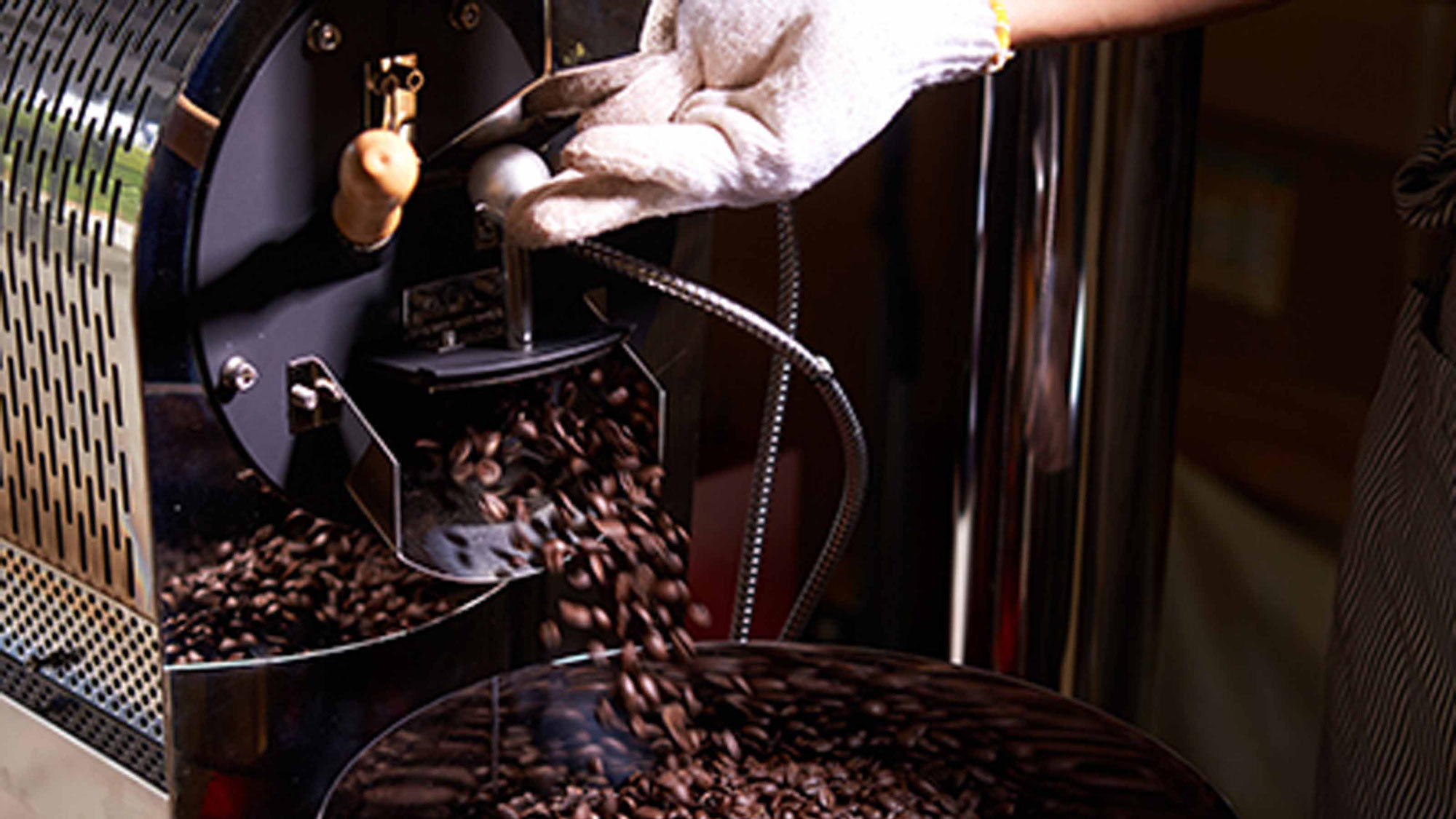 *自家栽培有機コーヒー豆一例