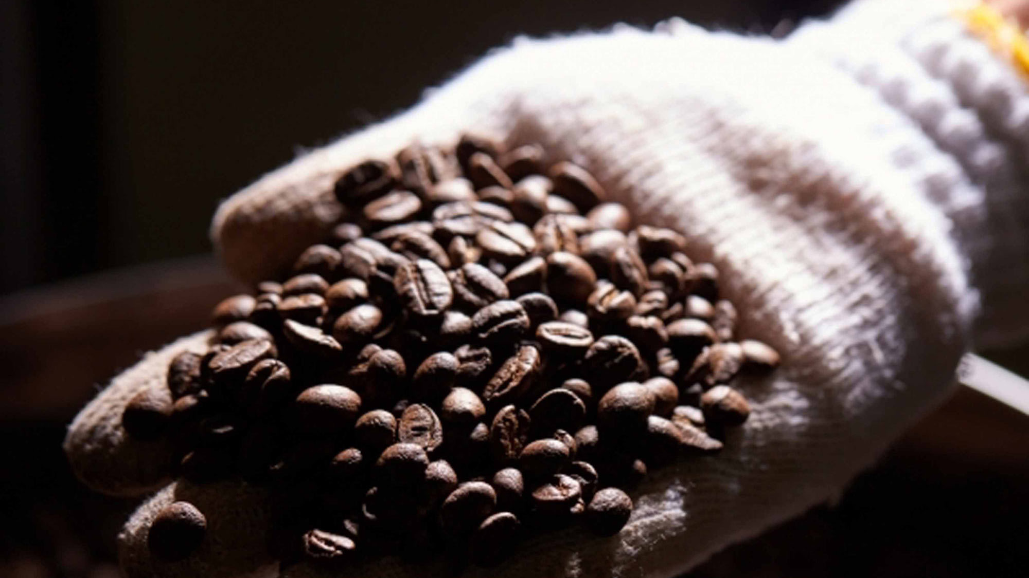 *自家栽培有機コーヒー豆一例
