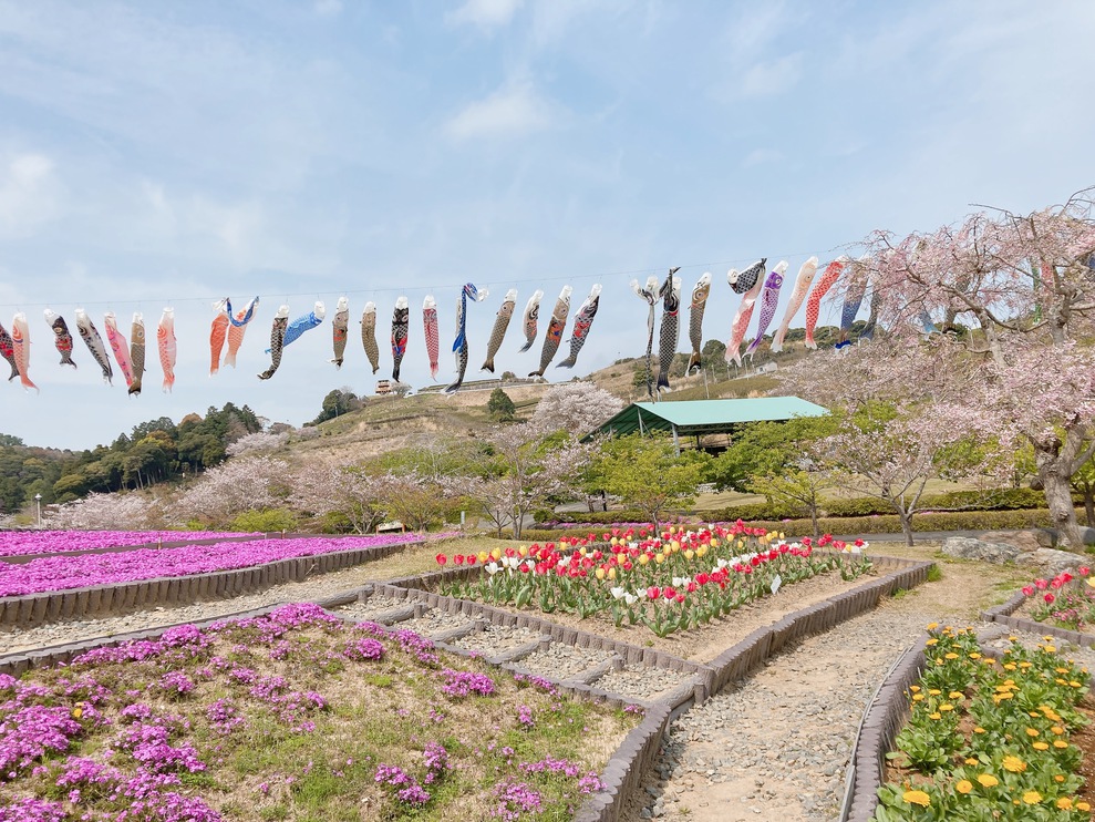 あらさわふる里公園（八潮から車で30分）