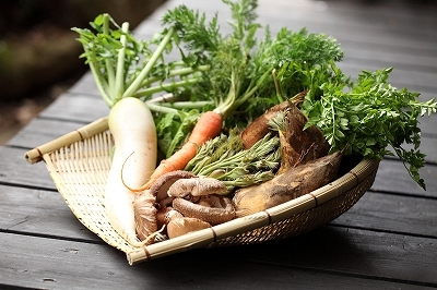 地元の無農薬・減農薬野菜