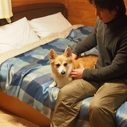 【お部屋・ベッドの上もＯＫ♪】