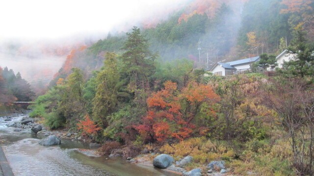 【紅椿の湯】施設外観（道志川より）