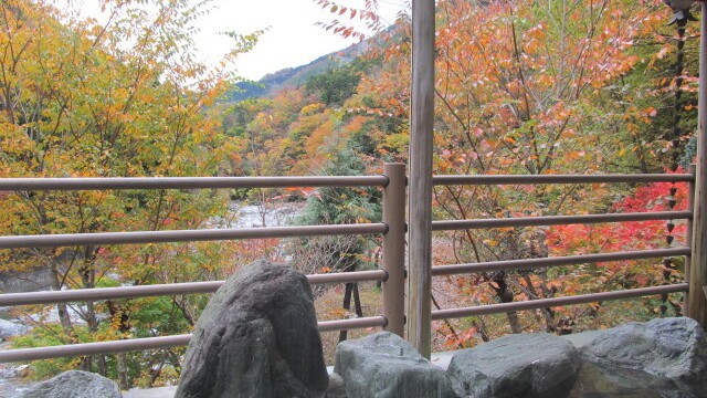 【紅椿の湯】露天風呂紅椿の湯