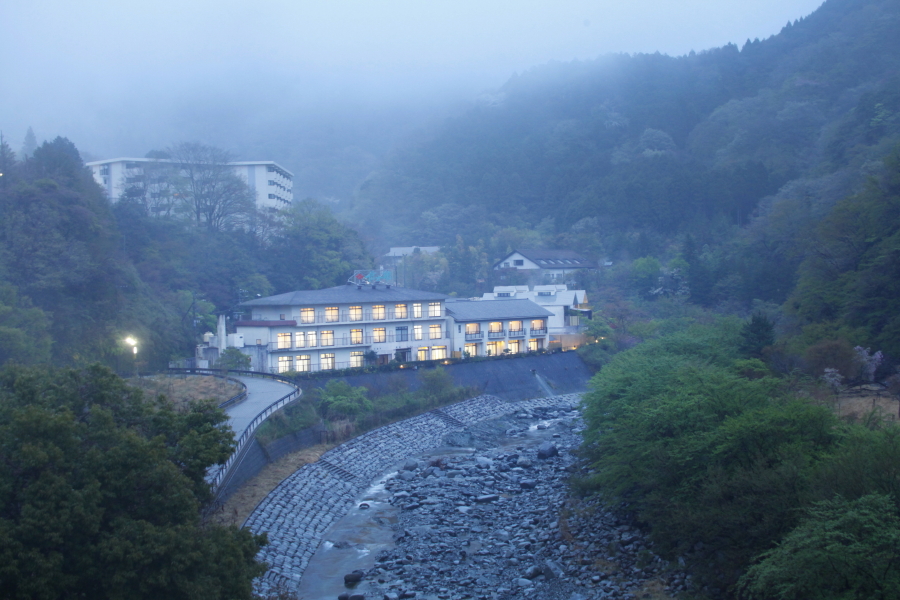 全景