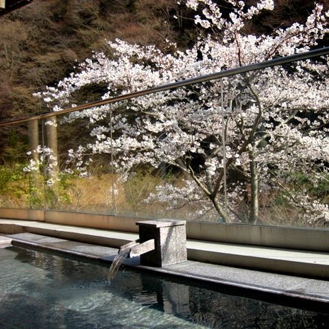 露天風呂※一例（春）