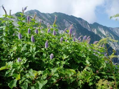 This photo about Yuho Pension shared on HyHotel.com