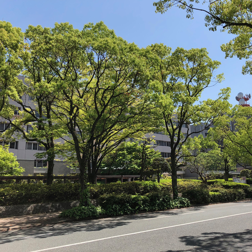 ビジネス福岡県庁、警察本部（徒歩4分）緑豊かな景観の中にあります