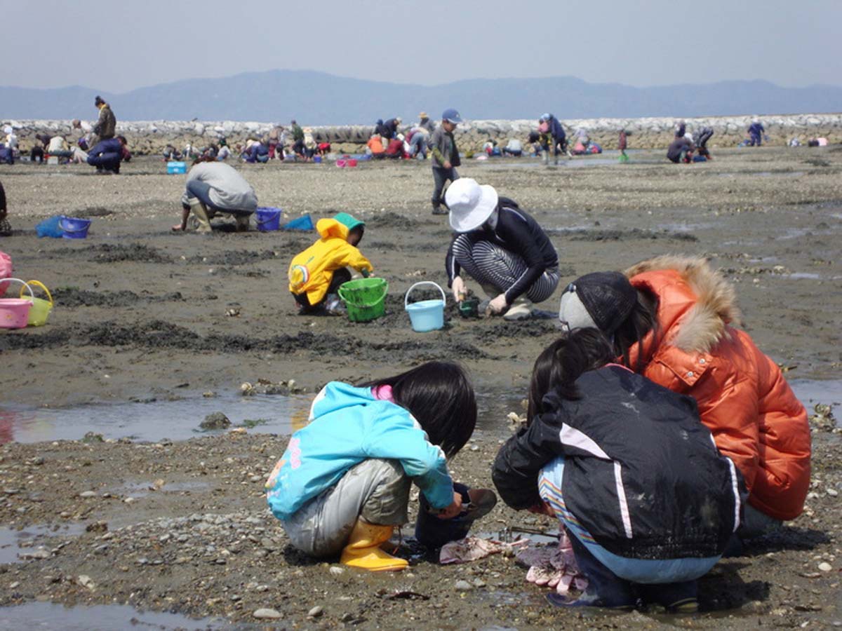 白谷海岸潮干狩りの様子。浅瀬が広く、公衆トイレもあり