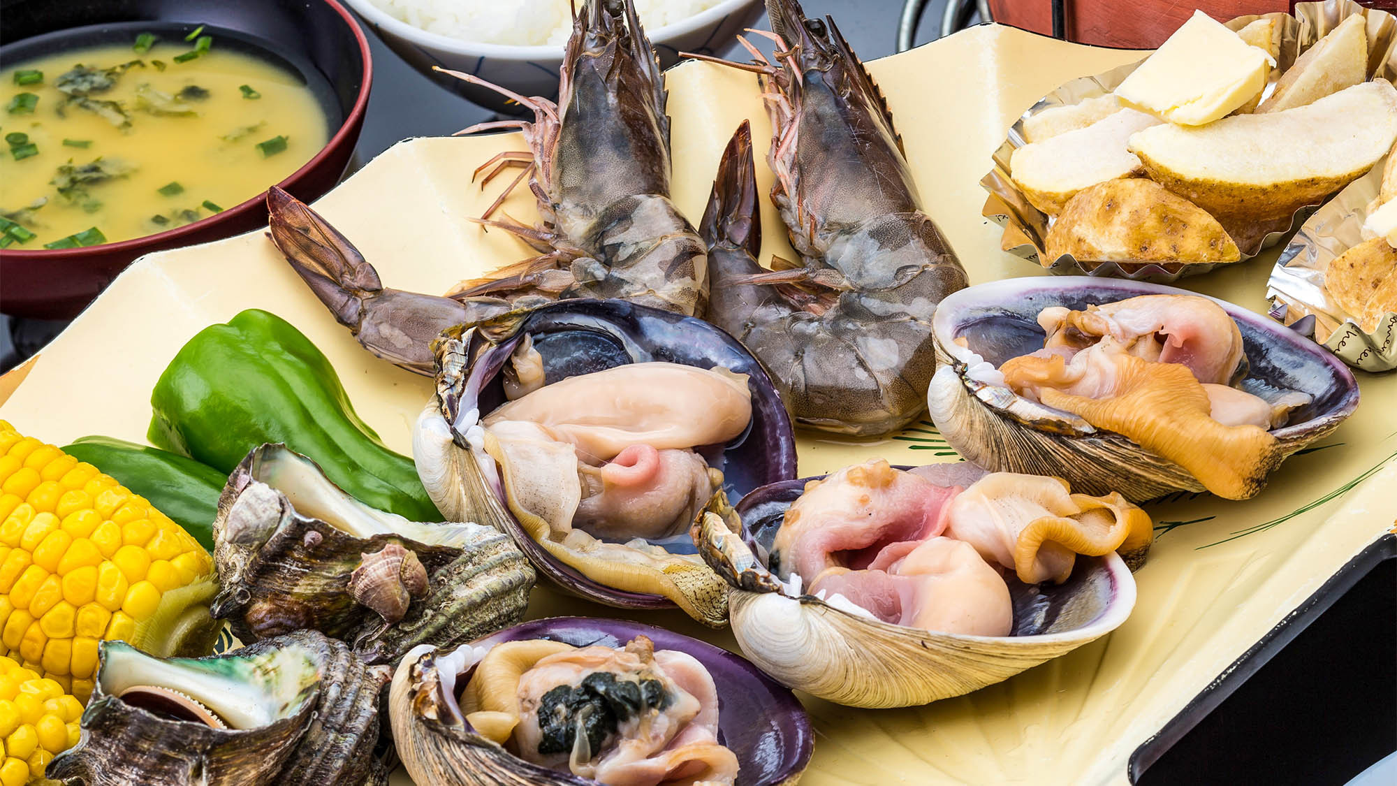 ・貝類伊良湖で獲れた魚介類は最高です